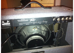 Peavey Bravo 112 (73950)