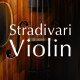 Stradivari Violin Stradivari Violin