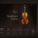 Stradivari Violin Stradivari Violin