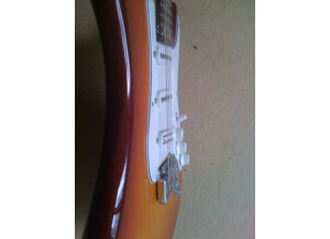 Warmoth Stratocaster (99293)