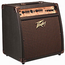 peavey ecoustic 110 efx