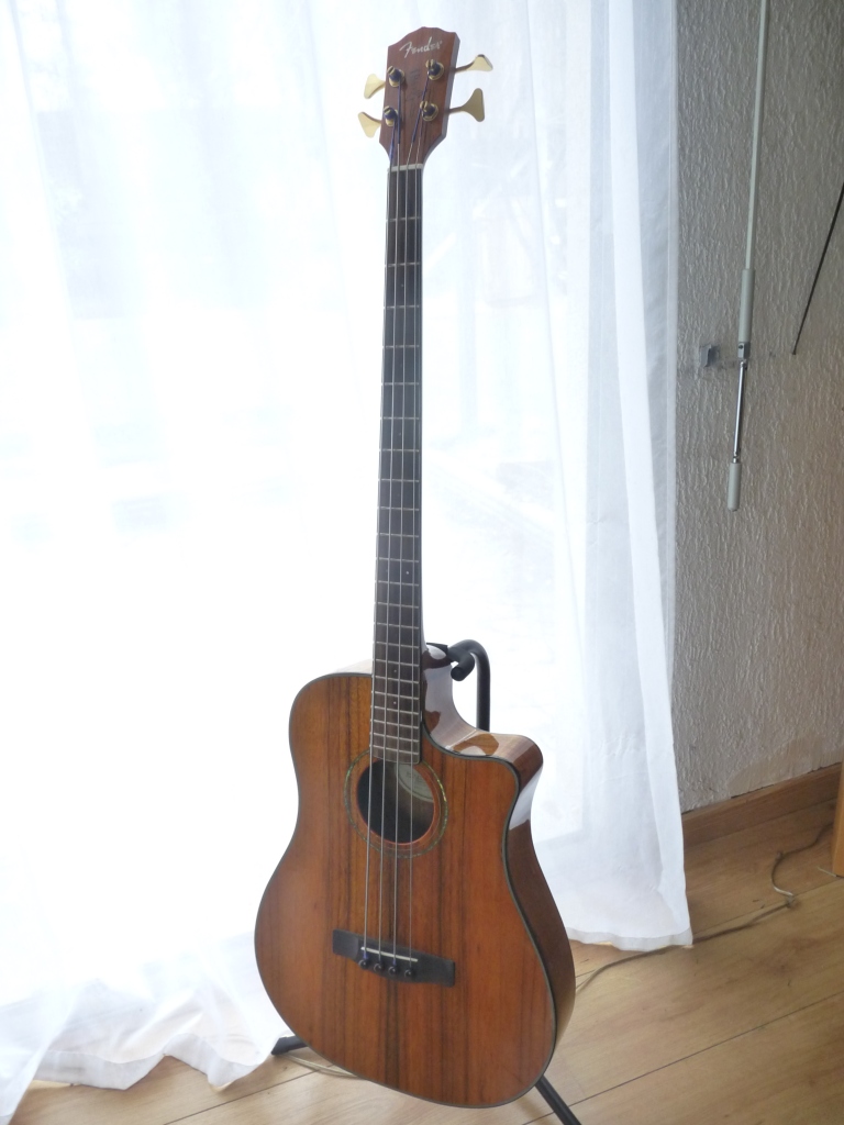 Fender Victor Bailey Acoustic Bass