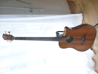 Fender Victor Bailey Acoustic Bass