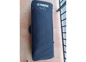 Yamaha YC61 (48262)
