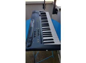 Korg 707 (76696)