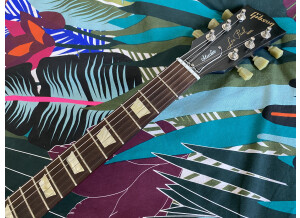 Gibson Les Paul Studio Faded 2011 (95842)