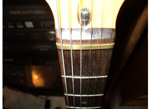 Eagle Stratocaster Replica (21536)