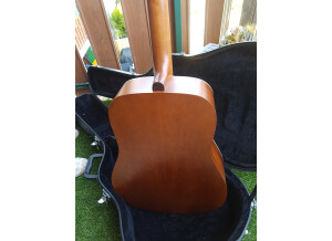 Art & Lutherie Cedar (4696)