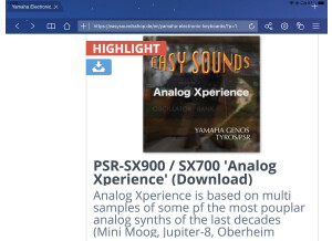 Yamaha PSR-SX900 (62400)