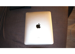 Apple iPad (9770)