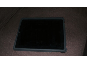 Apple iPad (39828)
