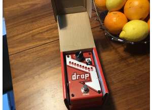 DigiTech Drop (62252)