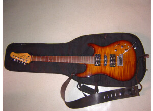 Godin Performance Series - Freeway SA Leaftop LB