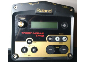 Roland TM-2 Trigger Module (44336)