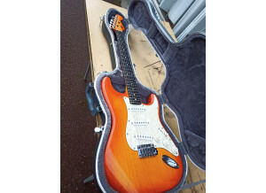 Valley & Blues Stratocaster