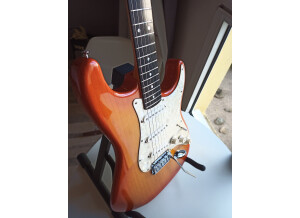 Valley & Blues Stratocaster (15199)
