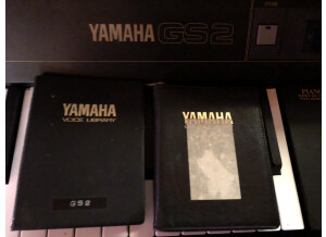 Yamaha GS2