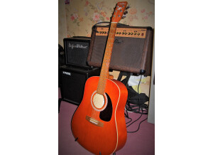 Art & Lutherie Cedar (31965)