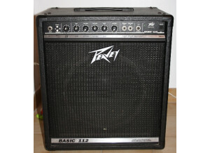 Peavey Basic 112 (24845)