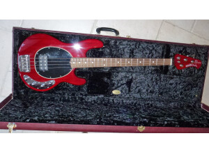 MusicMan Stingray Anniversary (30e)