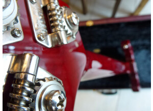 MusicMan Stingray Anniversary (30e)