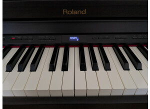 Roland HP504