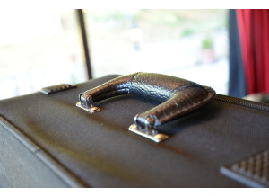 Gator Cases GK-76 (42250)