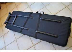 Gator Cases GK-76 (15747)