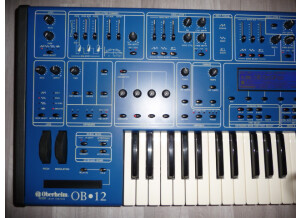 Oberheim OB-12 (80496)