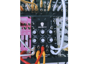 Erica Synths Sample Drum (84042)