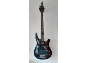 Washburn XS4 (41223)