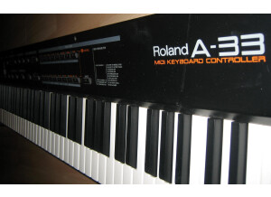 Roland A-33 (98147)