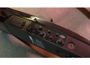 Yamaha SLG200S (22046)