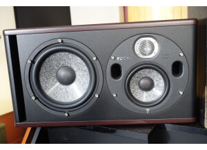 Focal Trio6 Be (88800)