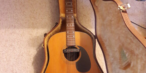 je vends ma 12 cordes canadienne LYS + fishman
