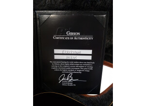 Gibson ES-330 2018 (34843)