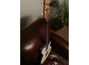 Godin Radiator (43930)