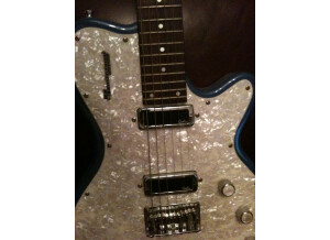 Godin Radiator (76899)