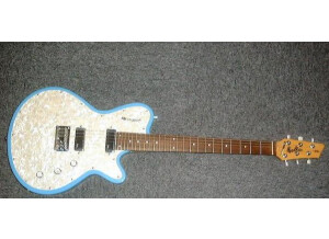 Godin Radiator (1473)