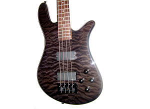 Spector NS2000 (91850)