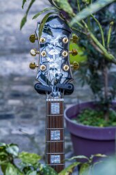 EmperorSwingster-23 EmperorSwingster-23