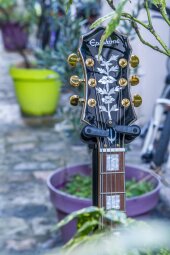 EmperorSwingster-24 EmperorSwingster-24