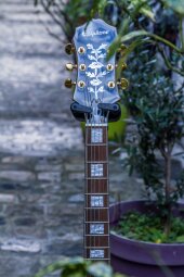 EmperorSwingster-26 EmperorSwingster-26