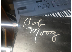 Moog Music Etherwave Theremin Standard (82147)