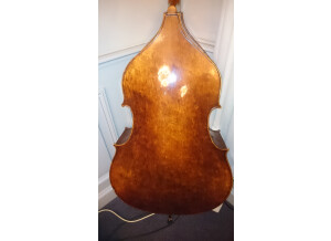 Warwick Streamer LX 5 (63838)