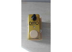 TC Electronic Ditto Looper Gold