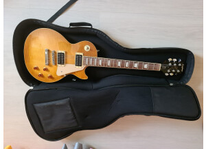 Photo guitare électrique avec housse_20210415_191553