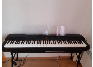 Yamaha P-255