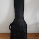 Deluxe Gig Bag Strat/Tele Deluxe Gig Bag Strat/Tele
