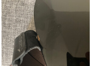 Ampeg AMG100 (98128)